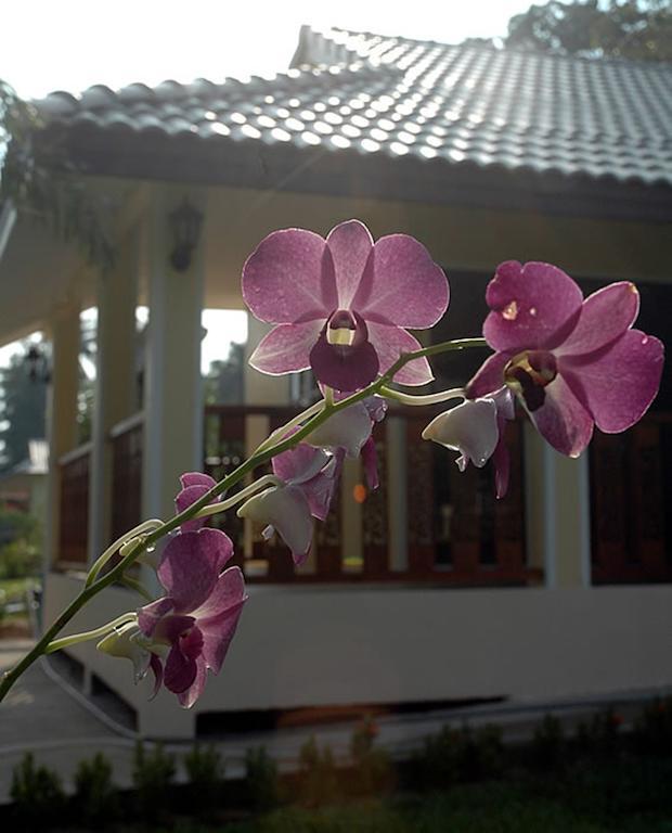 Apple Bungalows Bang Saphan Eksteriør billede